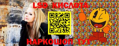 бошки Славгород