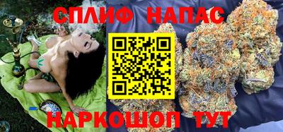 бошки Славгород