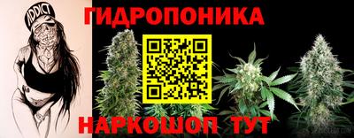 бошки Славгород