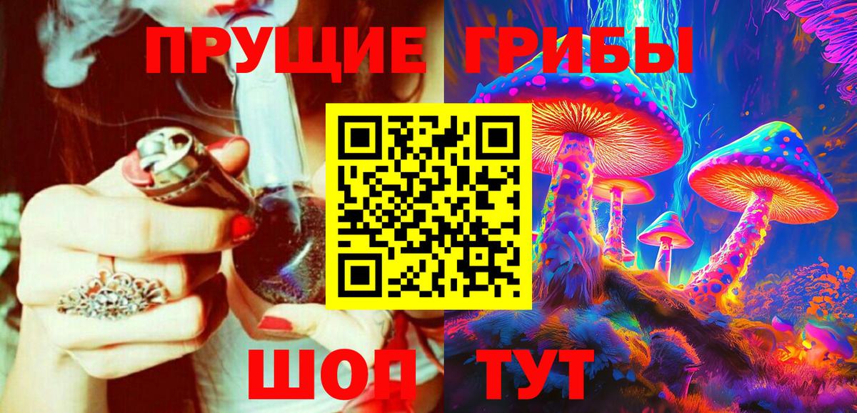 Галлюциногенные грибы Psilocybine cubensis Тавда